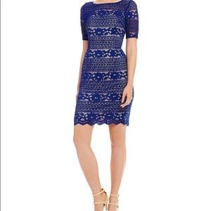 Adrianna Papell blue lace dress size 14
